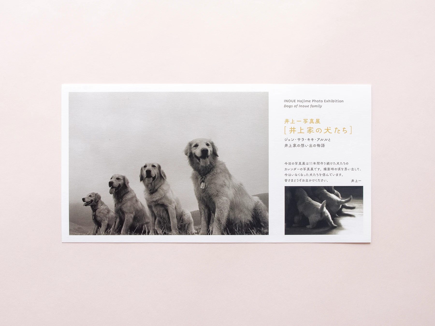 HARU GALLERY 井上一写真展 DM 絵柄面デザイン