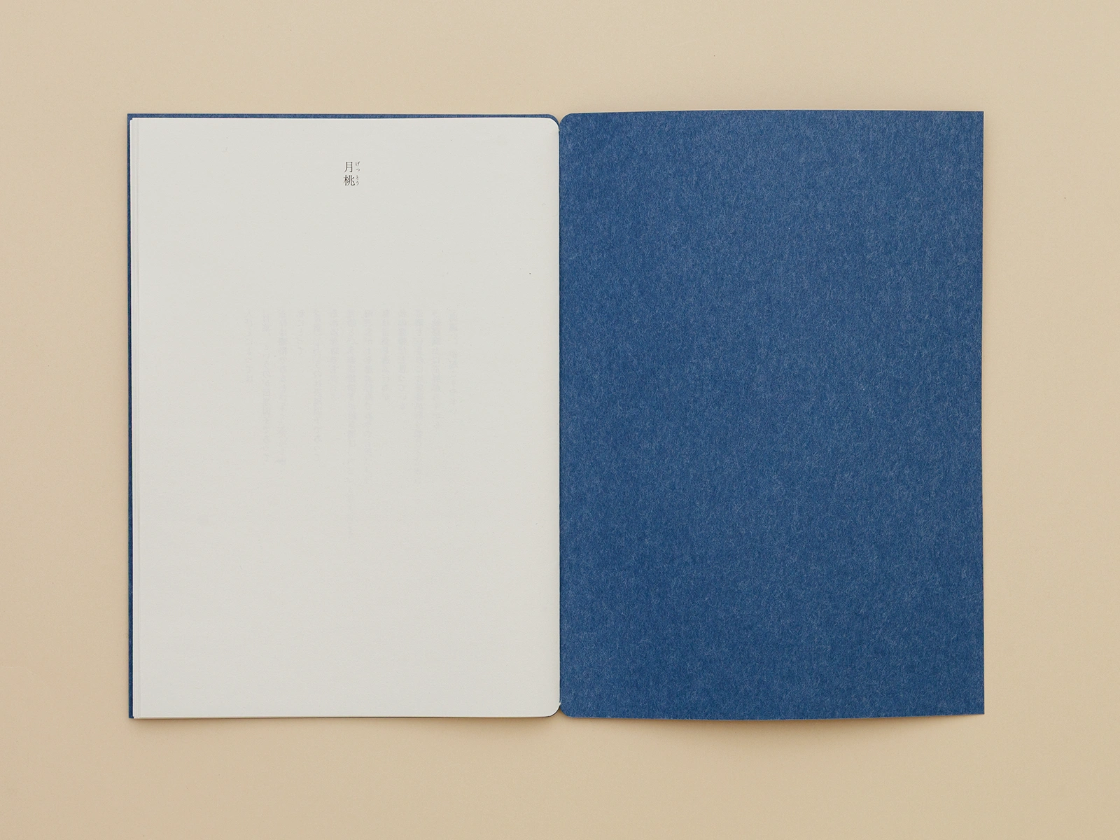 月桃本202503_03