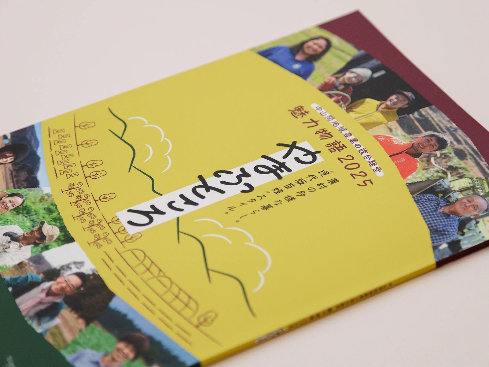 やまふところ2025_01