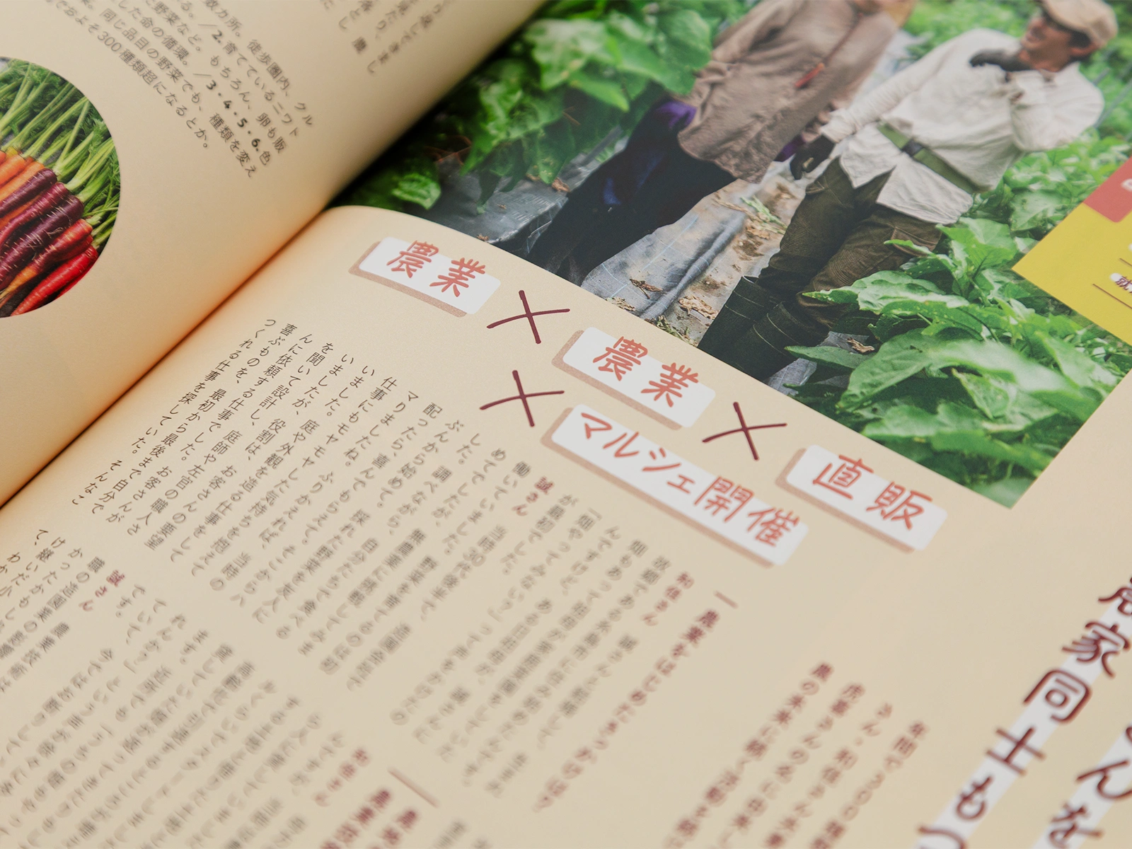 やまふところ2025_10